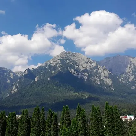 Coresi, 2 Camere, Sleeps 6 Large Private Garden Pets Welcome Apartment Brasov